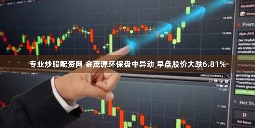 专业炒股配资网 金茂源环保盘中异动 早盘股价大跌6.81%