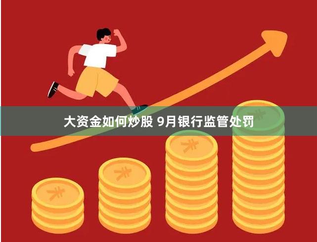 大资金如何炒股 9月银行监管处罚